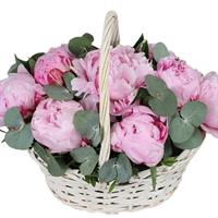 9 розовых пионов в корзинке