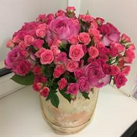 Счастье Счастье