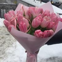 Роксолана Роксолана