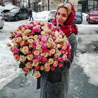 Ассоль Ассоль