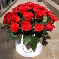 Чувство Чувство