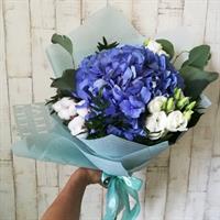 Жаклин Жаклин