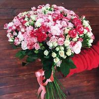 Ассоль Ассоль