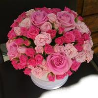 Счастье Счастье