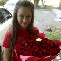 101 роза Аделаида 101 роза Аделаида