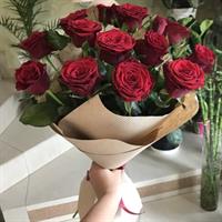 Фламенко Фламенко