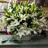 Лилиан Лилиан