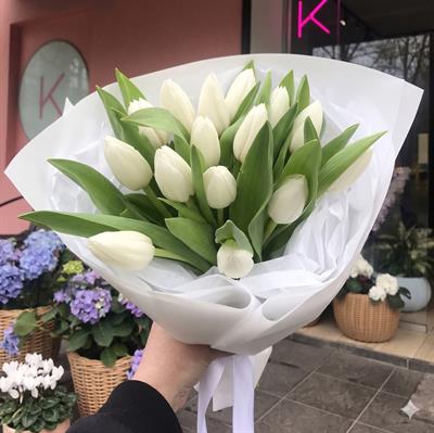15 white tulips - White grace