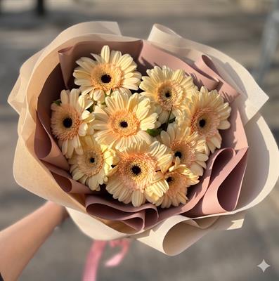 Bouquet of 9 cream gerberas - Morning Versailles