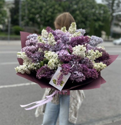 Lilac paints