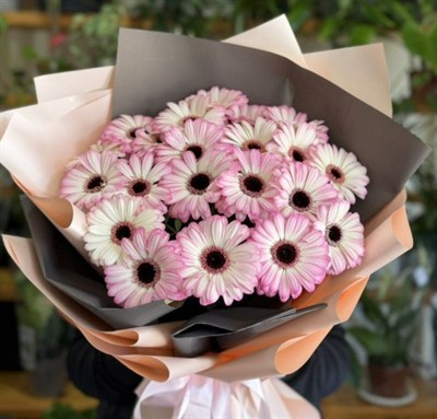 21 pink gerbera - Pink Flamingo