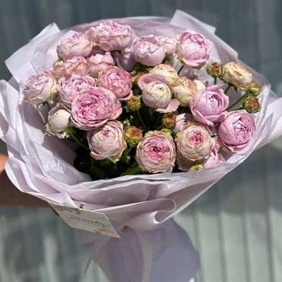 7 веток лавандовой пионовидной кустовой розы - Прованская мелодия