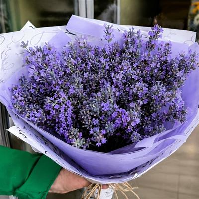 Лавандовое поле