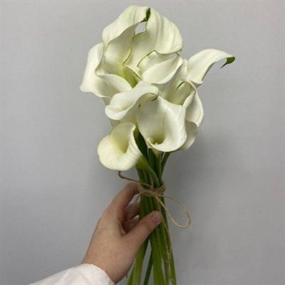 Bouquet of 9 white callas - Barcelona