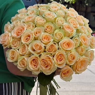 51 cream rose
