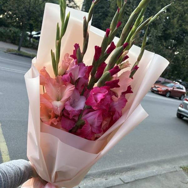 Розовый фламинго