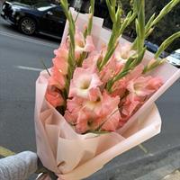 Pink flamingo photo report 6