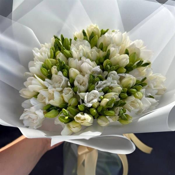 Альпийская свежесть