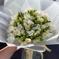 Альпийская свежесть фотоотчет 1