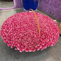 1001 Rose  photo report 2