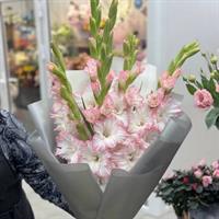 Маленький принц фотозвіт 3