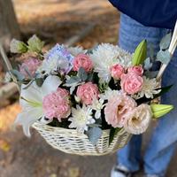 Miracles photo report 2