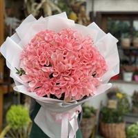 15 french roses - Romance of the Riviera photo report 1