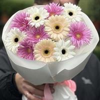 Bouquet of 11 colorful gerberas - Sunrise photo report 5