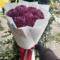 Аметистовые облака фотоотчет 1