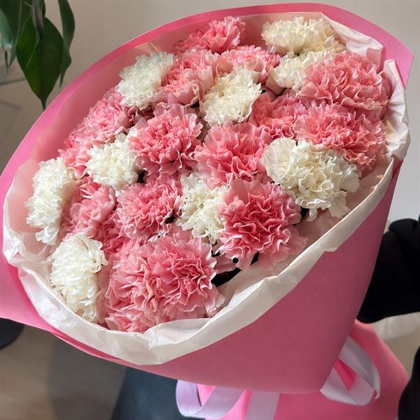 Bouquet of 25 pink and white carnations - Strawberry Cloud