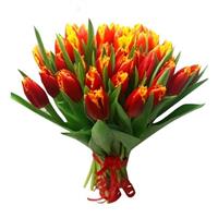 Wonderful bouquet of 31 tulips