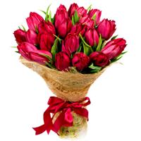 A stunning bouquet of 25 pion-shaped tulips
