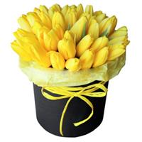 35 yellow tulips in box