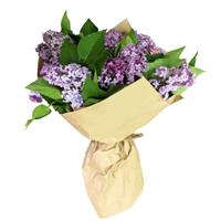 Spring bouquet  with 7 branches of lilac Spring bouquet  with 7 branches of lilac