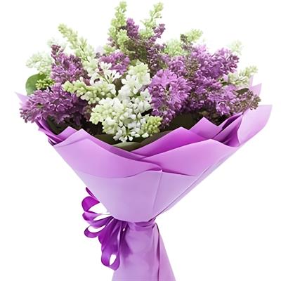 9 гілок бузку 9 гілок бузку