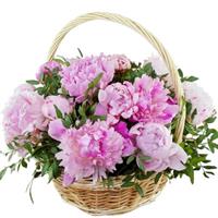 Basket with peonies Basket with peonies