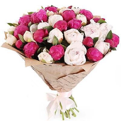 25 бордових і білих півоній 25 бордових і білих півоній