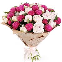 25 бордовых и белых пионов