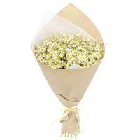 Букет з лугових ромашок Букет з лугових ромашок