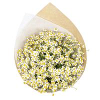 Букет з лугових ромашок Букет з лугових ромашок