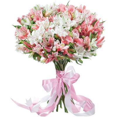 15 гілок альстромерії 15 гілок альстромерії