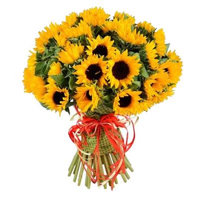 25 sunflowers 25 sunflowers