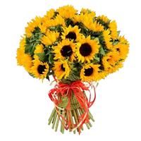 25 sunflowers 25 sunflowers