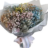 Small bouquet of 7 branches of multicolored gypsophila