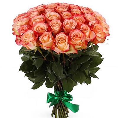 101 roses in the basket 101 roses in the basket