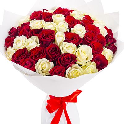 51 красная и белая роза 51 красная и белая роза