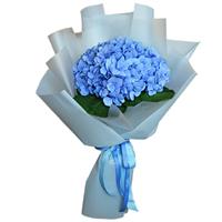 Lovely bouquet with 1 hydrangea