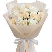 101 asters in the basket 101 asters in the basket