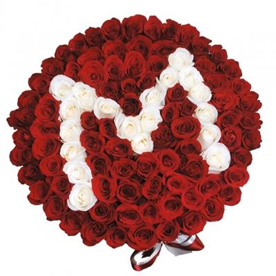 101 roses in a box 101 roses in a box