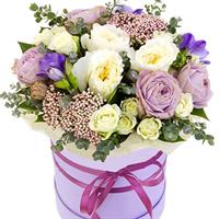 Box of shrub and pion-shaped roses